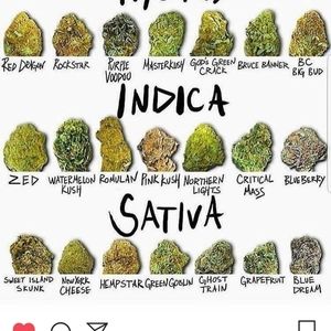 Meet your Posher, Roberto